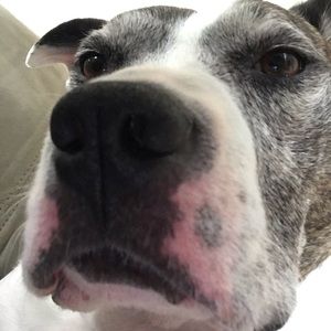 Meet your Posher, Emory